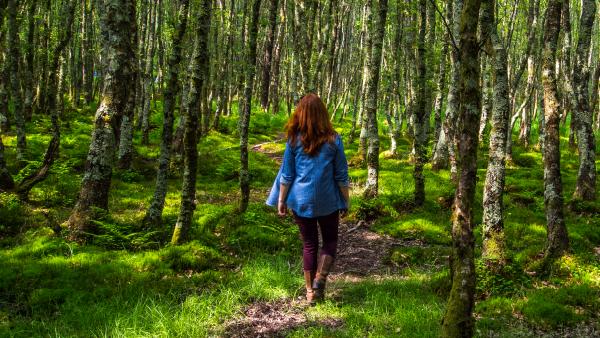 image of a woman walking through a forest