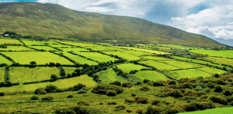 green-fields-ireland