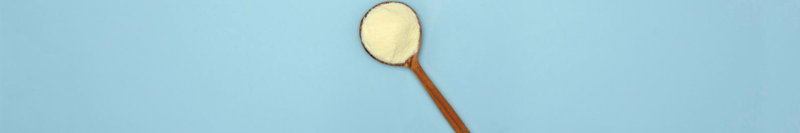 Whole Milk Powder image