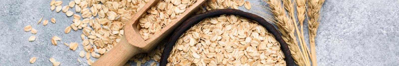 image of organic oats